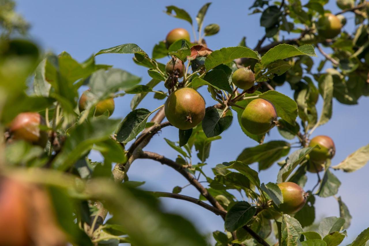 De Notenboom Gasthof Meliskerke